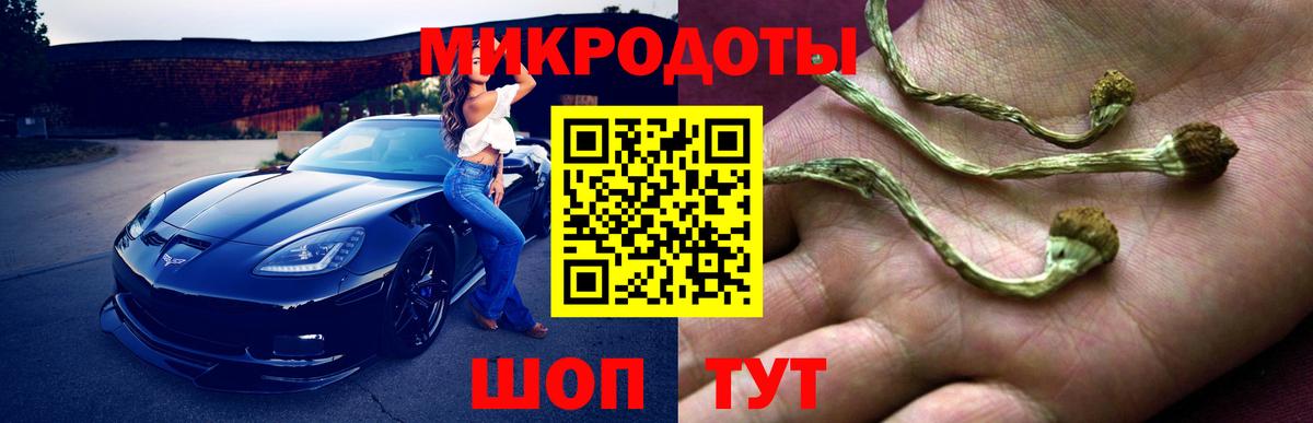 Галлюциногенные грибы Psilocybe Ижевск